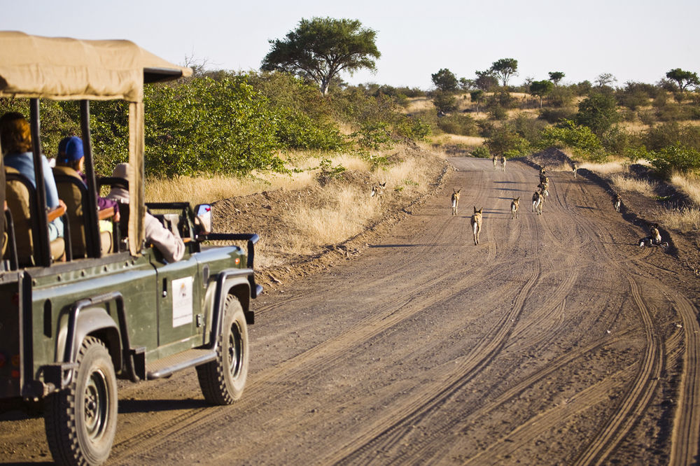 Tuli Safari Lodge Lentswelemoriti Exterior photo